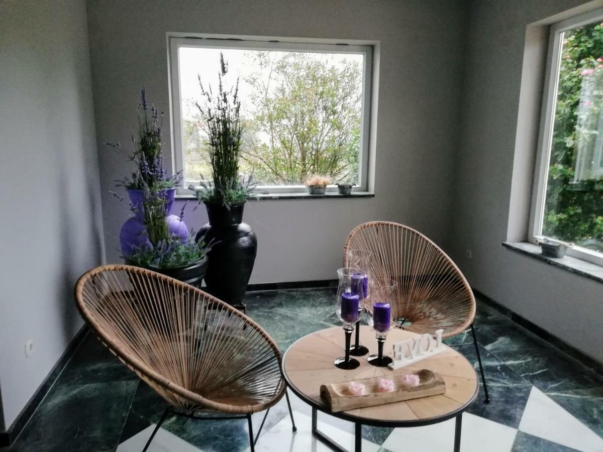 Villa Las Camelias Vilanova de Arousa Zewnętrze zdjęcie