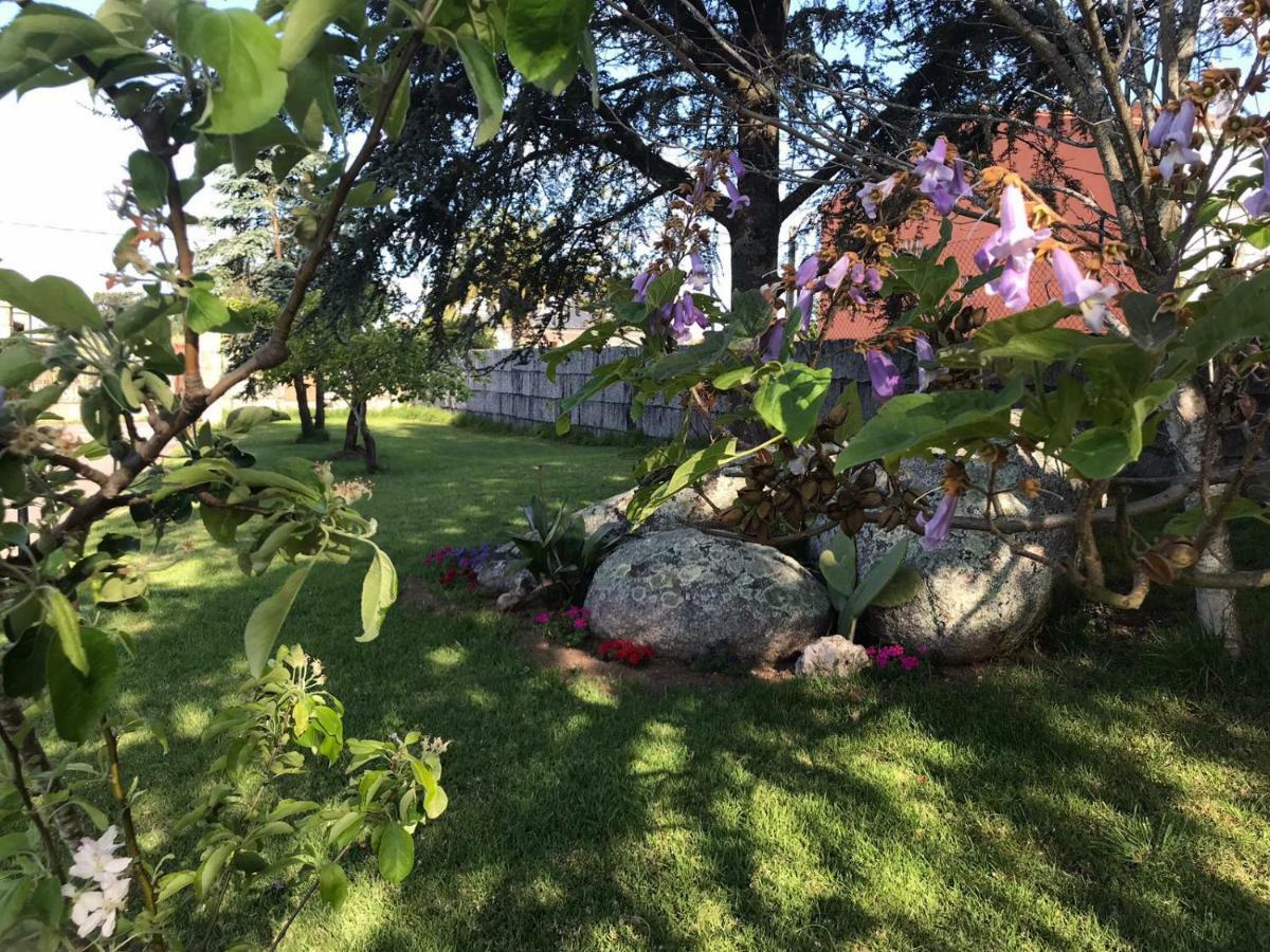 Villa Las Camelias Vilanova de Arousa Zewnętrze zdjęcie